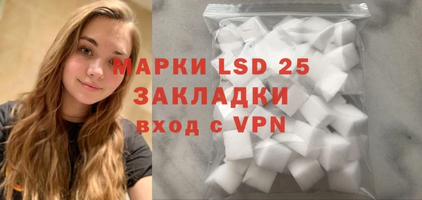 индика Касимов