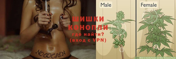 индика Касимов