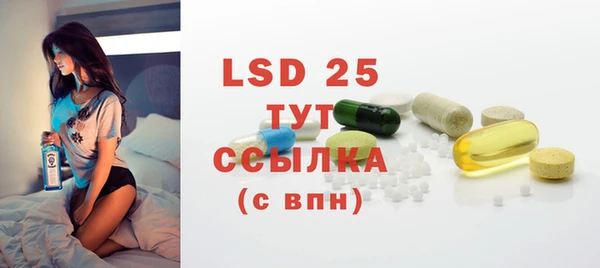 индика Касимов