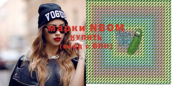 индика Касимов