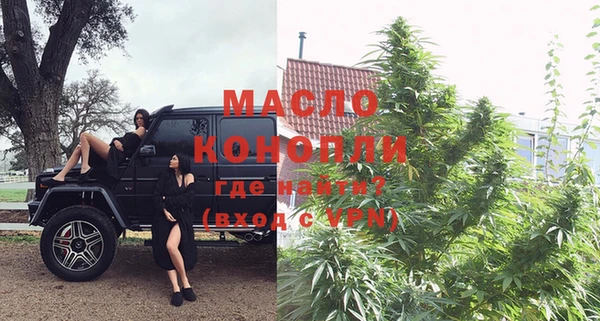 индика Касимов
