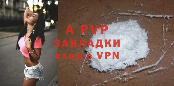 индика Касимов