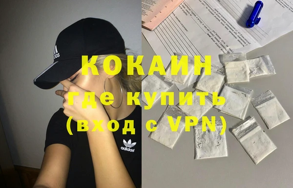 индика Касимов