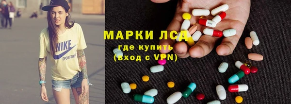 индика Касимов