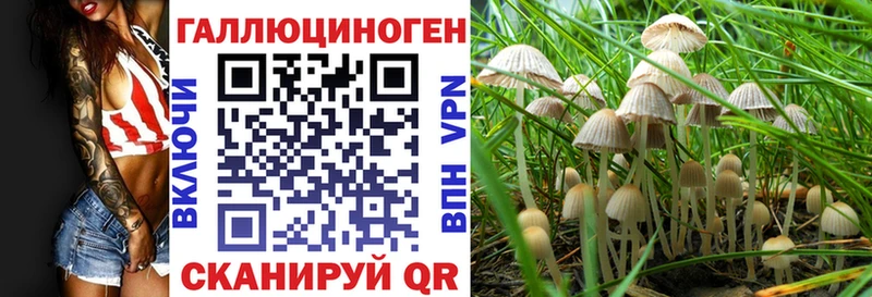 Галлюциногенные грибы ЛСД  Купить где  Кизел 
